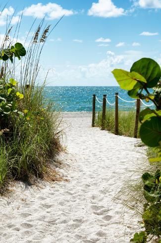 size: 12x8in Photographic Print: Boardwalk on the Beach - Miami - Florida by Philippe Hugonnard : Image Zen, Sea Oats, Beach Pink, Tropical Beaches, Airbrush Art, Types Of Photography, Beach Landscape, Road Trip Usa, Beach Scenes