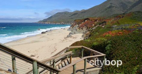 5 BEST Things to Do at Garrapata State Park Monterey Beach, Monterey Bay California, Large Fish Tanks, Big Sur Coastline, Carmel Beach, California Missions, Monterey Bay Aquarium, Highway 1, Fishermans Wharf