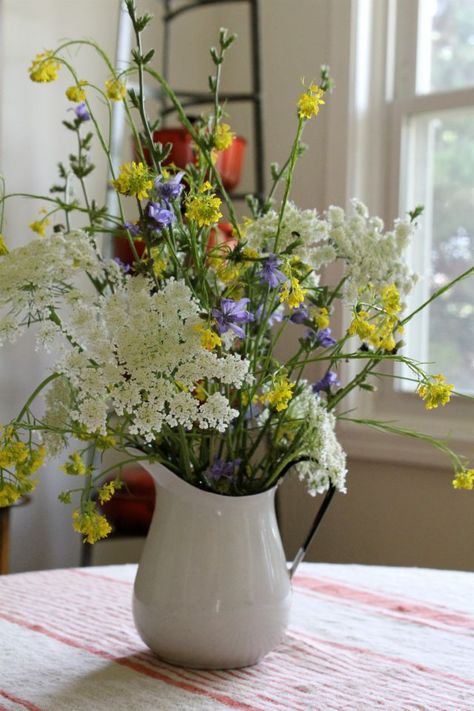 Wildflower bouquet in VTG Swedish Kokum pitcher. I gathered these while on a bike ride. Flower Arrangements In Pitchers, Casual Floral Arrangements, Wild Flower Arrangements Wildflowers, Spring Summer Floral Arrangements, Pitcher Floral Arrangements, Casual Flower Arrangements, Cottage Floral Arrangements, Jug Of Flowers, Wild Flower Floral Arrangements