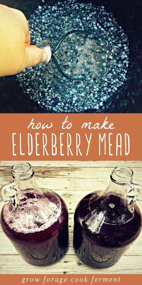 Mead, or fermented honey wine, is a delicious ancient fermented beverage and it's so easy to make! This elderberry mead, made with foraged berries, is a wonderful version of classic mead and perfect for the holidays. Mulled elderberry mead? Sign me up! Learn everything you need to know about making a one gallon batch of elderberry mead at home. #mead #fermented #fermenteddrinks #honeywine #elderberry #traditionalfoods Elderberry Mead, Elderberry Honey, Elderflower Recipes, Homemade Wine Recipes, Mead Wine, Fermented Drinks, Mead Recipe, Herbal Drink, Fermented Honey