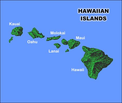 Hawaiian Islands! Hawaii Island Tattoo, Hawaiian Island Tattoo, Hawaiian Islands Map, Hawaiian Mythology, Molokai Hawaii, Map Of Hawaii, Hawaii Islands, Island Tattoo, Visit Hawaii