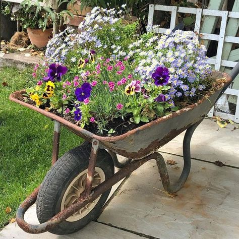 8 Wheelbarrow Planter Ideas Wheelbarrow Planter Ideas, Wheelbarrow Planter, Country Living Fair, Lavender Cottage, Wet Felting Projects, Trailing Plants, Planter Ideas, Small Yard, Container Garden