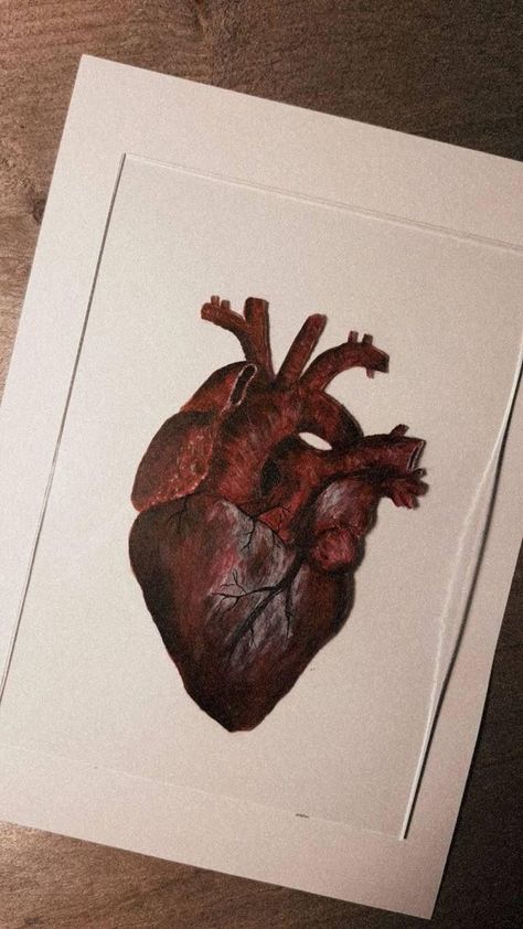 Real Heart Painting Aesthetic, Human Heart Painting Aesthetic, Real Heart Painting, Real Heart Aesthetic, Real Heart Wallpaper, Real Heart Drawing, Human Heart Drawing, Heart Real, Real Heart