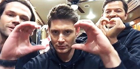 Your a normal girl. Well were, till young Sam and Dean came to your c… #fanfiction #Fanfiction #amreading #books #wattpad Jared Padalecki Hands, Jensen Misha, Jensen Ackles Gif, Jared Jensen, Supernatural Series, Benedict Sherlock, Supernatural Gifs, Jensen And Misha, Supernatural Jensen