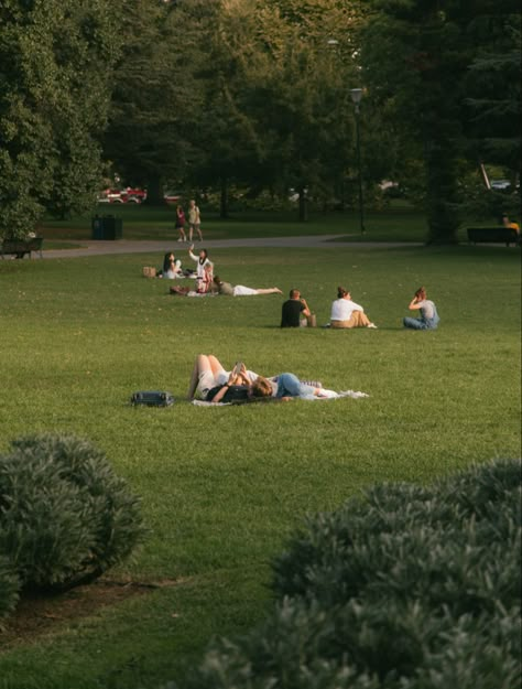 Summer picnic photo 숲 사진, People Watching, Romanticizing Life, Peaceful Life, 背景 シンプル, Euro Summer, Quiet Life, Slow Life, Little Life