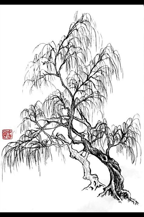 Japanese Willow Tree, Willow Tree Art, Chinese Tree, Seed Garden, A Willow Tree, Willow Tree Tattoos, Black Ink Art, Japanese Tree, Sumi E Painting