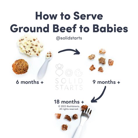 Baby Ground Beef Recipes, Ground Beef For Baby, Ground Beef Blw Recipe, Ground Beef Blw, Blw Ground Beef, Ground Beef 6 Month Old, Ground Beef Baby Food Recipes, Baby Food With Meat, Beef Baby Food