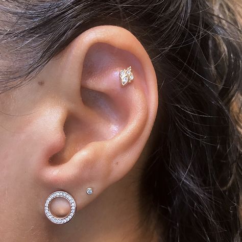 Outer conch or flat helix piercing. BVLA jewlery. Flat Piercing Hoop, Cute Flat Piercings, Flat Helix Piercing Studs, Ear Piercing Flat Ideas, Flat Helix Piercing Ideas, Piercing Ideas Simple, Flat Piercing Ears, Flat Cartilage Piercing, Piercing Reference