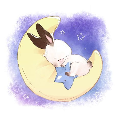 Sleeping Drawing, Inventory List, Bunny Book, Sleeping Bunny, Rabbit Pictures, Gaia Online, Rabbit Drawing, Sleeping Animals, Bunny Tattoos