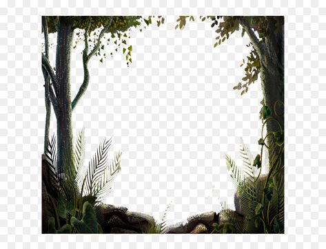 Forest Border, Photoshop Lighting, Tree Borders, Forest Designs, Border Vector, Photoshop Backgrounds Free, Bodhi Tree, Vector Trees, Forest Illustration