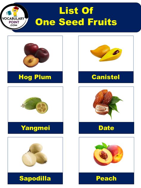 Have you ever wondered why some fruits have a single seed while others are filled with numerous tiny seeds? The world of fruits is truly fascinating, and the variations in their seeds are no exception. In this article, we will delve into the realm of one-seed fruits and explore an extensive list of these intriguing ... Read more The post One Seed Fruits Name With Pictures appeared first on Vocabulary Point. Fruits Name List, Fruits Name With Picture, Fruits Name, Low Calorie Vegetables, Eid Images, Cape Gooseberry, Fruit Names, Fruit List, Boost Energy Naturally