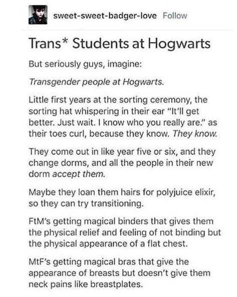 Trans Harry Potter Headcanon, Harry Otter, About Harry Potter, Gay Harry Potter, Harry Potter Comics, Harry Potter Headcannons, Harry Potter Jokes, Harry Potter Marauders, Harry Potter Quotes