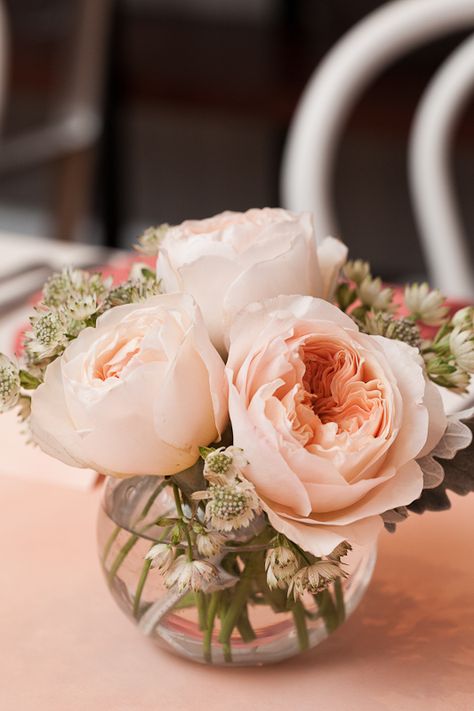 Simple, short pinky/peach roses in a glass container filled with water. Could do different bunches in different height glass containers. Bridal Brunch Decorations, Pink Wedding Centerpieces, Brunch Decor, Simple Bridal Shower, Peach Peonies, Small Centerpieces, Deco Rose, Bridal Shower Centerpieces, Shower Centerpieces