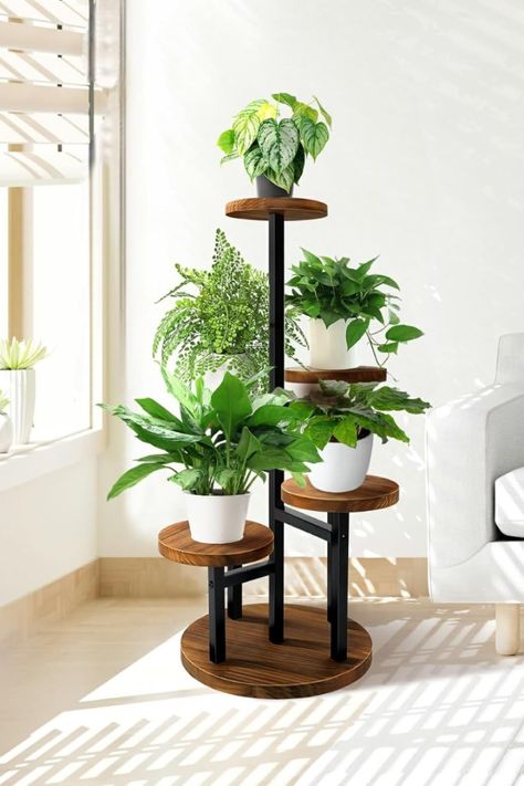 Indoor Plants: Bring Nature Indoors with These Gorgeous Picks
Indoor Plants: Budget-Friendly Ideas for Plant Enthusiasts
Indoor Plants: Revamp Your Space with These Stylish Picks
Indoor Plants: Greenify Your Home with These Popular Picks
Indoor Plants: Trending Décor Ideas for Plant Lovers Plant Stand Tall, Tiered Plant Stand, Tier Plant Stand, Plant Ladder, Iron Plant Stand, Corner Plant, Shelf Holder, Modern Plant Stand, Wooden Plant Stands