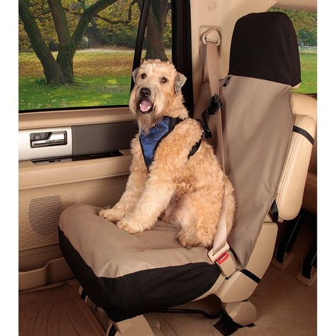 Solvit Waterproof Sta-Put Bucket Seat Cover | from hayneedle.com Bucket Seat Covers, Dog Seat Covers, Dog Car Seat, Dog Seat, Dog Whistle, Dog Car Seat Cover, Muddy Paws, Along For The Ride, Dog Car Seats