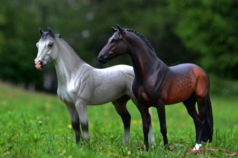 #Horse #schleich #collecta #wia #model #photohorse #photocollecta Collecta Horses, Schleich Photography, Breyer Photography, Schleich Horses, Bryer Horses, Toy Horses, Breyer Horse, Horse Accessories, Friesian Horse