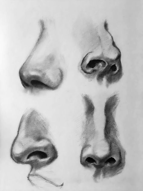 Roman Nose Reference, Nostrils Drawing, Roman Nose Drawing, Face Details Drawing, How To Draw Collar Bones, Roman Nose Side Profile, Roman Nose Front View, Crooked Nose Drawing, Different Noses Drawing