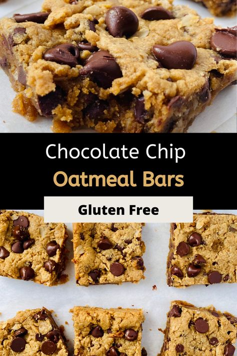 Paleo Oatmeal Cookies, Gluten Free Oatmeal Bars, Gluten Free Oatmeal Chocolate Chip, Oatmeal Chocolate Chip Cookie Bars, Paleo Oatmeal, Oatmeal Chocolate Chip Bars, Gluten Free Oatmeal Cookies, Oatmeal Cookie Bars, Gluten Free Bars