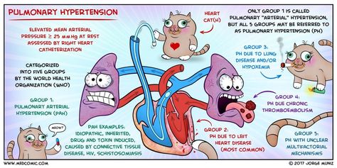 Learn pulmonary hypertension with a Medcomic #Hypertension Heart Catheterization, Nursing Mnemonics, Pa School, Blood Pressure Chart, Pulmonology, Respiratory Therapy, Nursing Study, Nursing Notes, Dr Oz