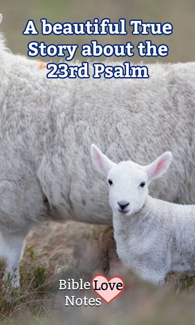 The 23rd Psalm, 23rd Psalm, Bible Love Notes, Good News Bible, Bible Psalms, Christian Values, Bible Study Topics, Biblical Truths, Bible Study Plans