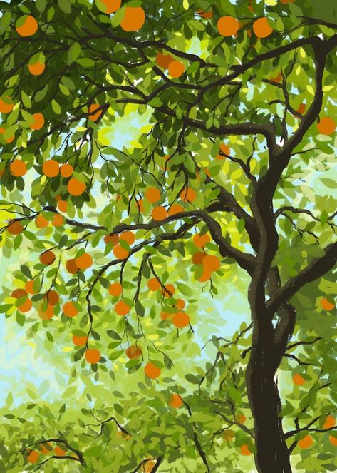 Painting Of Orange Tree, Tangerine Tree Drawing, Orange Trees Painting, Orange Tree Painting Acrylic, Apricot Tree Illustration, Orange Grove Painting, Orange Tree Mural, Summer Tree Drawing, Orange Tree Watercolor