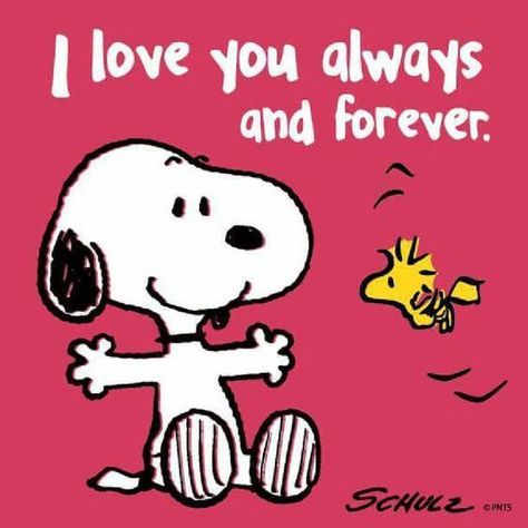 Snoopy Reaction, Charlie Brown Quotes, Snoopy Collection, Woodstock Snoopy, Quotes Twitter, Snoopy Dog, Snoopy Cartoon, Snoopy Funny, Snoopy Images