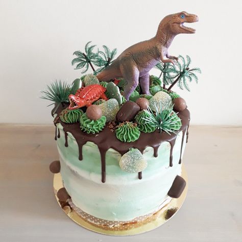 Dino cake Dinasour Birthday, Dino Birthday Cake, Dinosaur Cakes, Butter Fingers, Dino Cake, Dinosaur Birthday Cakes, Dinosaur Themed Birthday Party, 3rd Birthday Cakes, Dino Birthday Party