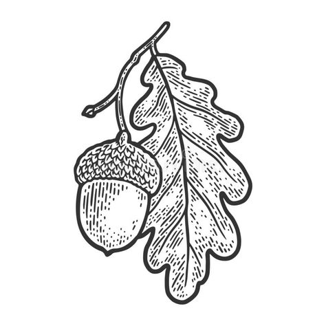 Oak And Acorn Tattoo, Oak Leaf Tattoo Design, Oak Leaf Design, Tattoo Oak Leaf, Oak Leaf Embroidery, Acorn Linocut, Oak Leaves Drawing, Oak Leaves Tattoo, Oak Leaf Drawing