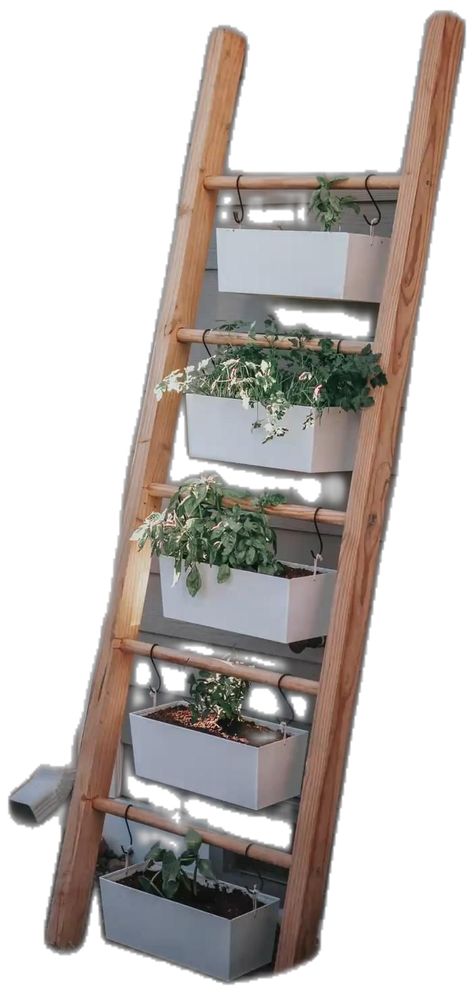 Herb Ladder, Patio Projects, Herbs, Patio, Patios