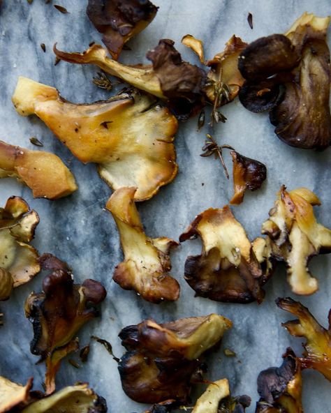 This past fall I was generously gifted a freshly foraged maitake mushroom (thank you Marcus!). Maitake, or hen-of-the-woods, is a prized fall foraging find, with a meaty taste and mild mushroom flavor. Maitakes are parasitic polypore that grow as clusters at the base of mature trees, predominately oaks. They appear in September and into October, often popping up in the same location year after year. Its clusters of fan-shaped caps make it great for sautéing, roasting, and frying- perfect ... Maitake Mushroom Recipe, Mushroom Chips, Fall Foraging, Salads Pasta, Foraging Recipes, Maitake Mushroom, Warm Salad, Brain Food, Mushroom Recipes