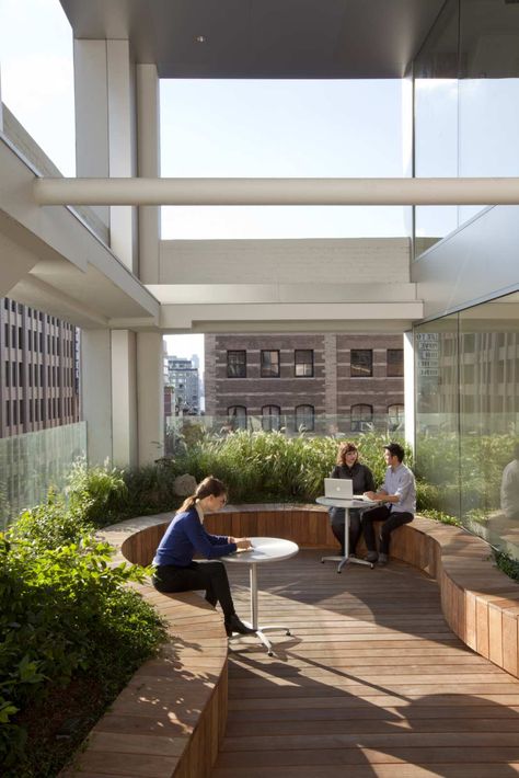 Wieden Kennedy — WORKac Rooftop Terrace Design Ideas, Terrace Design Ideas, Terrasse Design, Architecture Company, Rooftop Terrace Design, Rooftop Design, Roof Architecture, Outdoor Office, Cozy Design