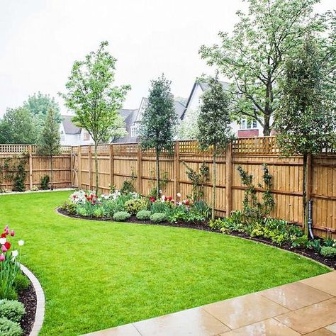 Rockery Ideas, Fence Trees, Colourful Images, Urban Garden Design, Fence Landscaping, Large Backyard, Landscape Designs, Backyard Garden Design, Backyard Fences