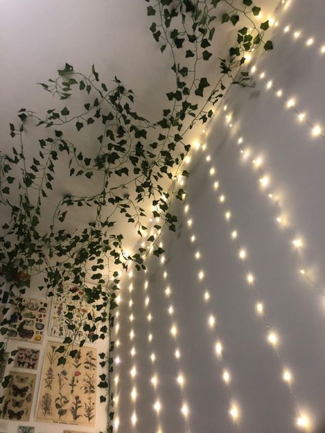 Ways To Style Vines In Your Room, Sage Green Bedroom Fairy Lights, Vines On Ceiling Bedroom With Led Lights, Vine Ceiling Bedroom Aesthetic, Hanging Vines With Lights, Fake Vines Ideas, Fake Vines And Fairy Lights Bedroom, Ways To Put Up Vines In Room, Vines On Celling Aesthetic