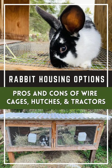 Wire Rabbit Cages, Raising Meat Rabbits, Rabbit Hutch And Run, Rabbit Wire, Diy Rabbit Cage, Raising Rabbits For Meat, Show Rabbits, Rabbit Habitat, Female Rabbit