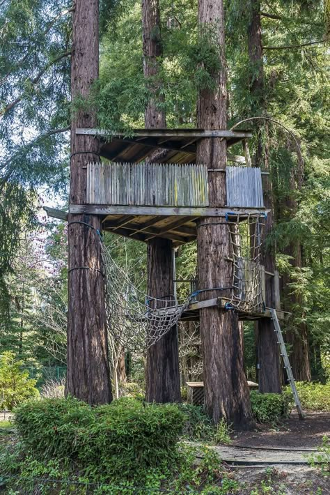 This tree house perched in old-growth redwoods offers children--and the young at heart--a charming place to play. Photo: Photography By Olga Soboleva/Van Bushcraft Projects, Treehouse Ideas, 1000 Lifehacks, Survival Garden, Bushcraft Shelter, Tree House Plans, Tree Fort, Tree House Diy, Cool Tree Houses