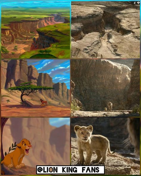 Lion King Fan on Instagram: “Stampede scene comparison part 1 - 👑@lion_king_fans_ 👑 - - - - - - - {tags} #Lion #King #LionKing #DisneystheLionKing #Disney #DisneyMovies…” Il Re Leone, Lion King, Lion, Fan, Tags, Disney, On Instagram, Instagram, Art