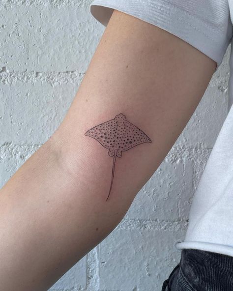 Stingray Tattoo Placement, Floral Stingray Tattoo, Stingray Line Tattoo, Cute Manta Ray Tattoo, Manta Ray Fine Line Tattoo, Emily Reid, Water Tattoos, Stingray Tattoo, Simple Arm Tattoos