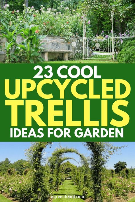 Here're 23 Cool UpCycled Trellis Ideas For Your Garden #gardeningideas #garden #agreenhand Homemade Trellis, Outdoor Trellis Ideas, Rustic Trellis, Vegetable Trellis, Garden Arch Trellis, Diy Garden Trellis, Arbors Trellis, Arch Trellis, Trellis Ideas