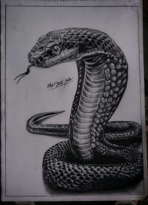 Snake Drawing On Leg, Snake Slithering Drawing, Snake Picture Drawing, 3d Snake Drawing, Snake Realistic Drawing, King Cobra Snake Drawing, Snake Sketch Pencil, Realistic Snake Sketch, Black Snake Drawing