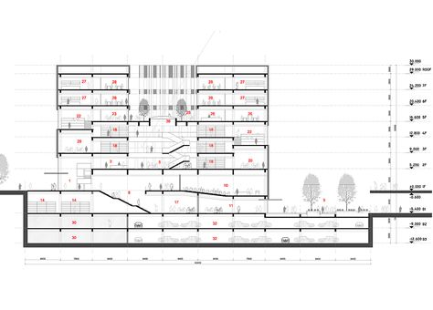 Tsinghua Law Library Building Proposal / Kokaistudios,section 01 Architect Life, Site Plan Design, Library Building, Law Library, Library Plan, Building Design Plan, Arch Building, Conceptual Sketches, Architecture Mapping