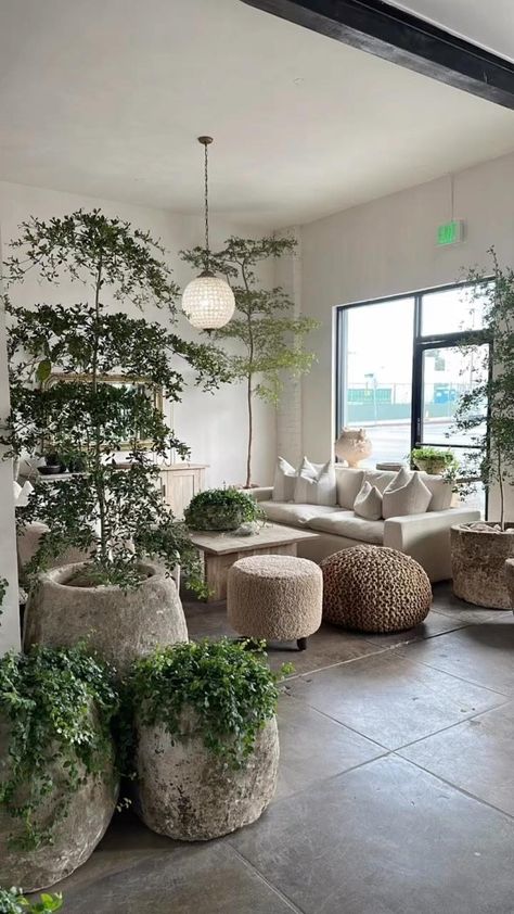 INTERIOR GREENS (@interiorgreens) • Instagram photos and videos Japandi Plant Pot, Large Potted Plants Indoor, Wabi Sabi Plants, Limestone Planter, Wood Bin, Antique Planter, Stone Sinks, Stone Planter, Wabi Sabi Interior