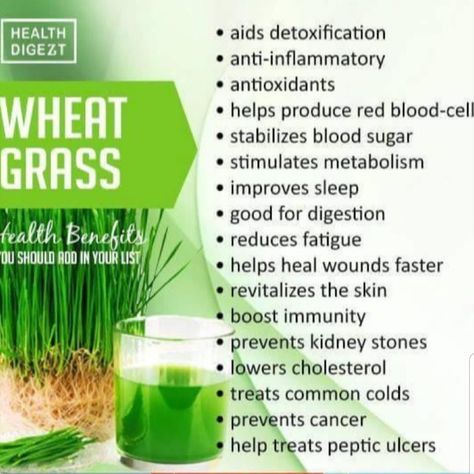 Benefits of Wheat grass Benefits Of Wheatgrass Shots, Wheat Grass Benefits, Wheat Grass Juice, Heal Wounds Faster, Wheatgrass Juice, Wheat Grass Shots, Pet Grass, Natural Healing Remedies, Red Blood Cells