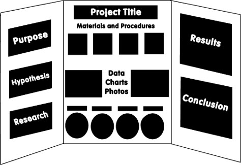 Science Fair Project Display Science Fair Display Board, Science Project Board, Kids Science Fair Projects, Science Fair Board, Science Fair Projects Boards, Cool Science Fair Projects, Science Fair Project, Penanda Buku, 5th Grade Science