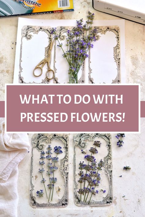 What to do with Pressed Flowers! Dried Flower Ideas Diy, Pressed Flower Crafts Diy, Plant Pressing, Crafts Dried Flowers, Diy Pressed Flower Art, Herbal Crafts, Flowers Bookmarks, Dried Flowers Crafts, Handmade Paper Gifts