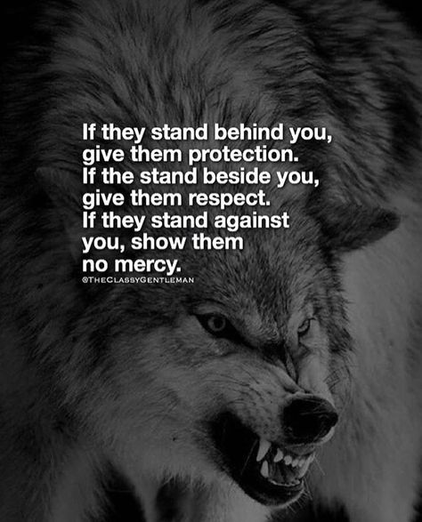 6,048 mentions J’aime, 43 commentaires - AgentSteven (@agentsteven) sur Instagram : "@theclassygentleman agreed 👌🏼" Lone Wolf Quotes, Wolf Quotes, Warrior Quotes, A Wolf, Badass Quotes, Animal Quotes, Wise Quotes, The Words, Great Quotes