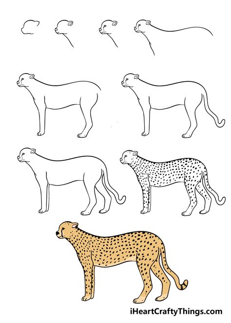 How to Draw A Cheetah – A Step by Step Guide Cheetah Pencil Drawing, How To Draw A Leopard Step By Step, Cheetah Laying Down Drawing, How To Draw A Cheetah Step By Step, Simple Cheetah Drawing, How To Draw Cheetah, How To Draw Cheetah Print, How To Draw A Cheetah, Cheetah Drawing Easy