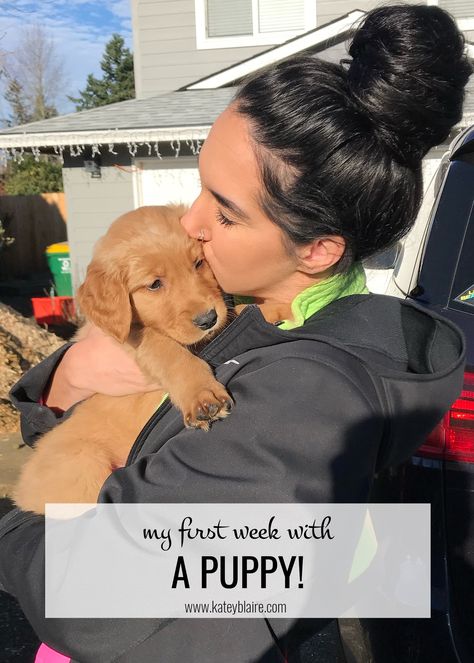 First Week With Puppy, Getting A Puppy Announcement, Puppy Schedule, Golden Retriever Training, Puppy Pens, New Puppy Checklist, Old Golden Retriever, Puppy Pads Training, Puppy Proofing