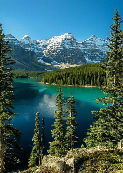 World Most Beautiful Place, Moraine Lake, Have Inspiration, Places In The World, Beautiful Places In The World, Alam Yang Indah, Beautiful Mountains, Beautiful Nature Pictures, Pretty Places