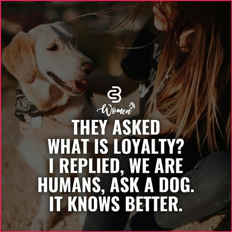 #Inspirational #inspiredaily #inspired #hardpaysoff #hardwork #motivation #determination #businessman #businesswoman #business #entrepreneur #entrepreneurlife #entrepreneurlifestyle #businessquotes #success #successquotes #quoteoftheday #quotes #Startuplife #millionairelifestyle #millionaire #money #billionare #hustlehard #Inspiration #Inspirationalquote Dog Loyalty Quotes, Quotes Girly, Corporate Quotes, Loyalty Quotes, Memory Words, Laughter Quotes, Girly Quotes, Millionaire Lifestyle, Business Entrepreneur