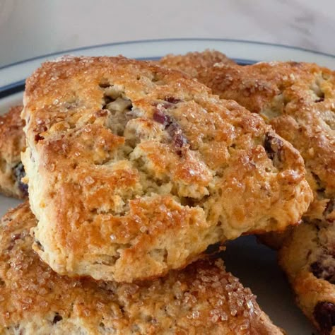 single oat scone Dried Cranberry Scones, Oat Scones Recipe, Sweet Scones Recipe, Cranberry Scone, Oatmeal Scones, Raisin Scones, Oat Scones, Dried Cranberry, Scone Recipes